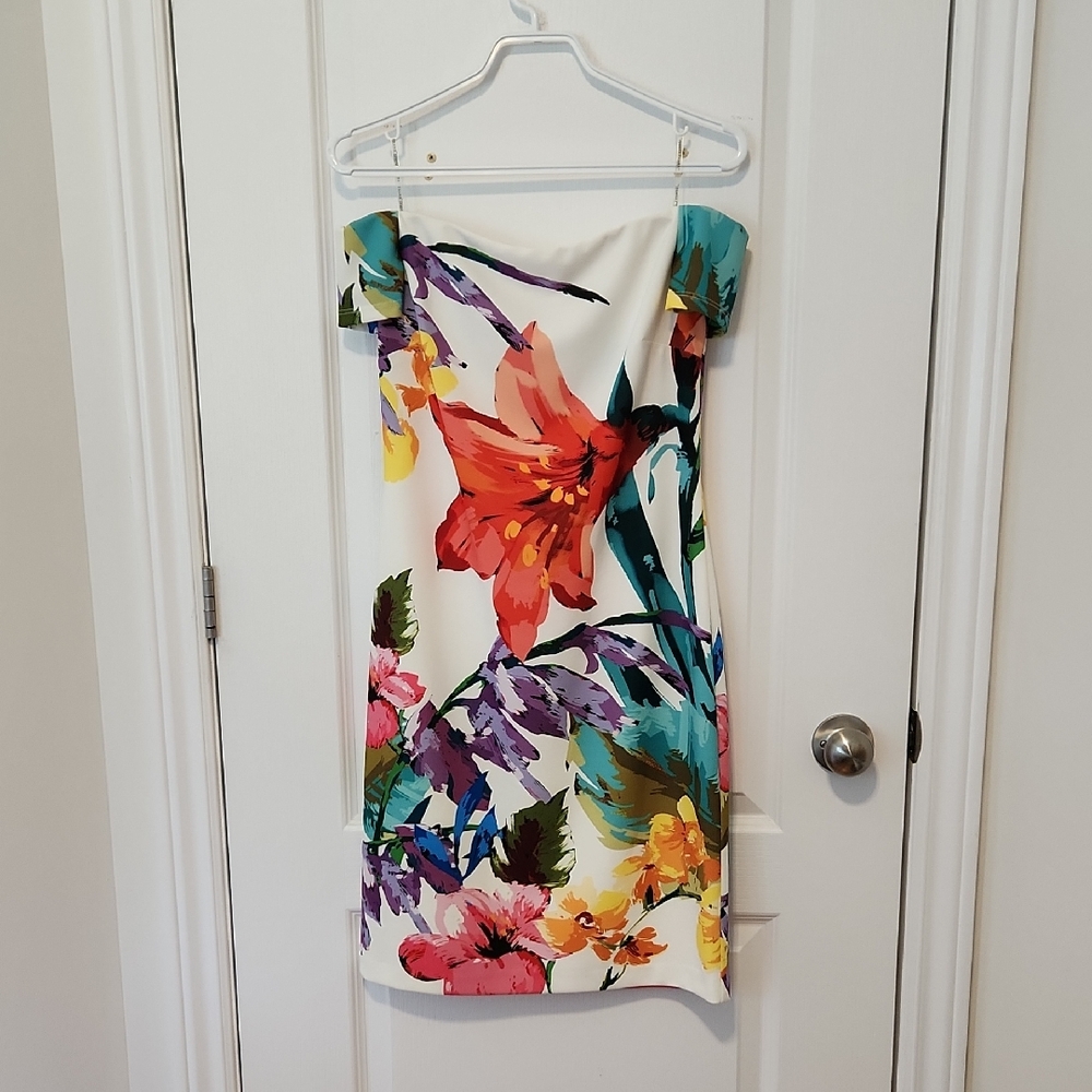 Frank Lyman Design Multicolor Abstract Dress